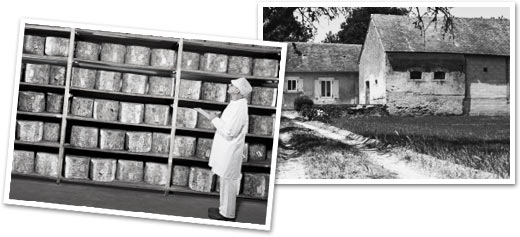 cheese shelves port salut history